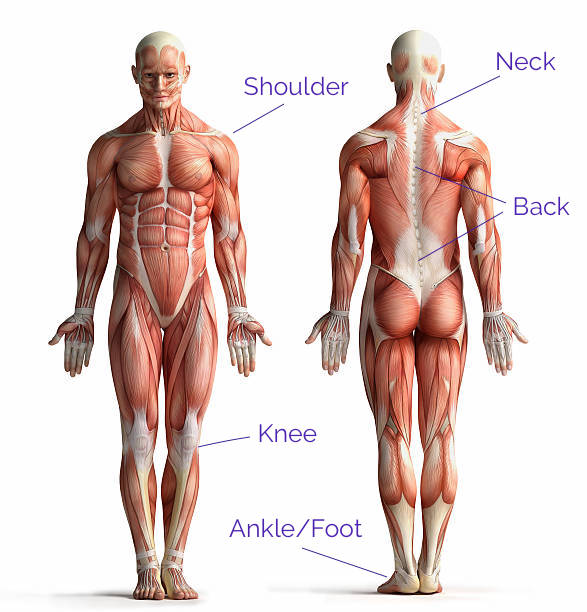 Pain Relief
