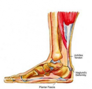 Ankle Foot Pain