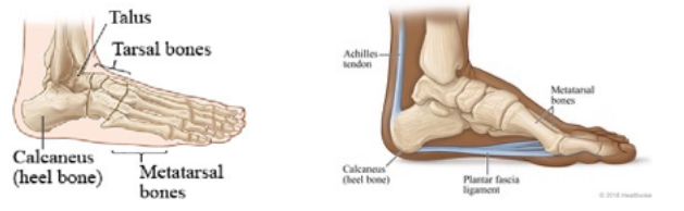 Ankle foot Pain treatment singapore
