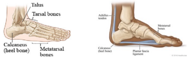 physio foot pain